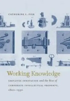 Fisk |  Working Knowledge | Buch |  Sack Fachmedien