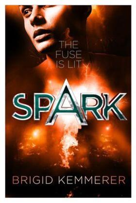 Kemmerer |  Spark | Buch |  Sack Fachmedien
