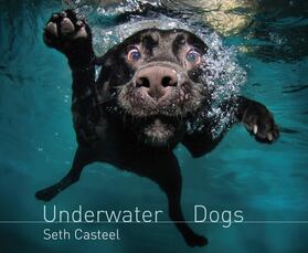 Casteel |  Underwater Dogs | Buch |  Sack Fachmedien