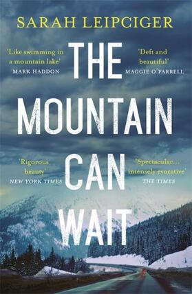 Leipciger |  The Mountain Can Wait | Buch |  Sack Fachmedien