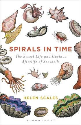 Scales |  Spirals in Time | Buch |  Sack Fachmedien