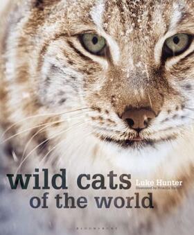 Hunter |  Wild Cats of the World | Buch |  Sack Fachmedien