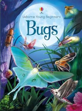 Bone |  Young Beginners Bugs | Buch |  Sack Fachmedien