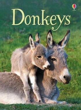 Maclaine |  Donkeys | Buch |  Sack Fachmedien