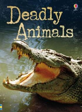 Brook |  Beginners Plus Deadly Animals | Buch |  Sack Fachmedien