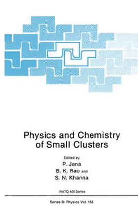 Jena | Physics and Chemistry of Small Clusters | E-Book | sack.de