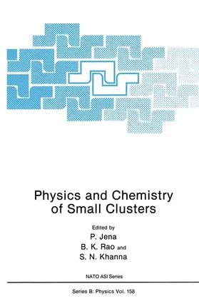 Jena |  Physics and Chemistry of Small Clusters | Buch |  Sack Fachmedien