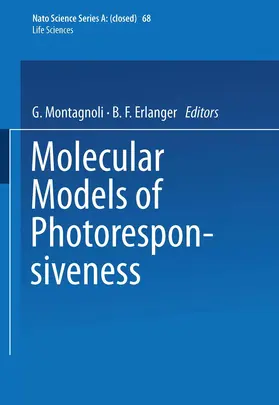 Montagnoli |  Molecular Models of Photoresponsiveness | Buch |  Sack Fachmedien