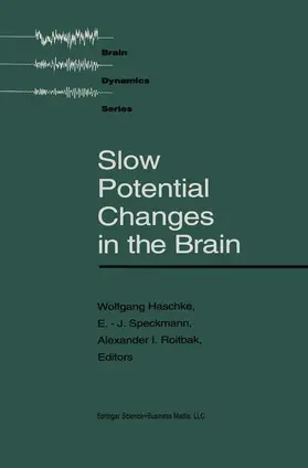 Haschke / Speckmann |  Slow Potential Changes in the Brain | Buch |  Sack Fachmedien