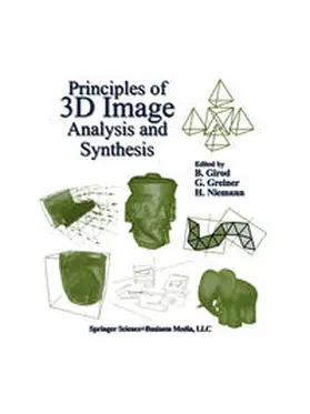 Girod / Greiner / Niemann |  Principles of 3D Image Analysis and Synthesis | eBook | Sack Fachmedien