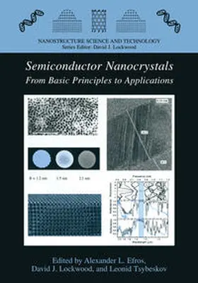 Efros / Lockwood / Tsybeskov |  Semiconductor Nanocrystals | eBook | Sack Fachmedien