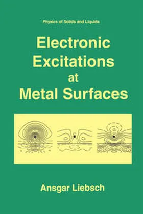 Liebsch | Electronic Excitations at Metal Surfaces | E-Book | sack.de