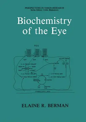 Berman |  Biochemistry of the Eye | Buch |  Sack Fachmedien