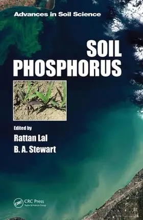 Lal / Stewart |  Soil Phosphorus | Buch |  Sack Fachmedien