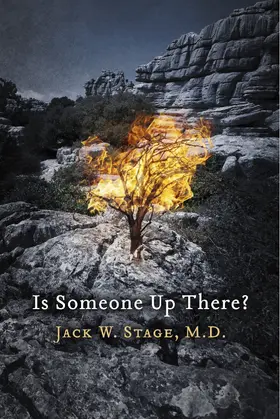 Jack W. Stage / M.D. |  Is Someone Up There? | eBook | Sack Fachmedien