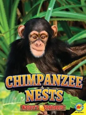 Forest |  Chimpanzee Nests | eBook | Sack Fachmedien