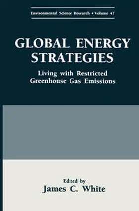 White | Global Energy Strategies | E-Book | sack.de