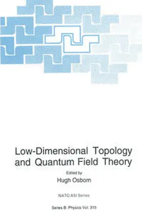 Osborn | Low-Dimensional Topology and Quantum Field Theory | E-Book | sack.de