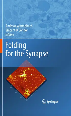 O'Connor / Wyttenbach |  Folding for the Synapse | Buch |  Sack Fachmedien