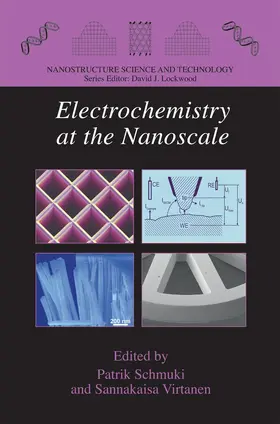 Virtanen / Schmuki |  Electrochemistry at the Nanoscale | Buch |  Sack Fachmedien
