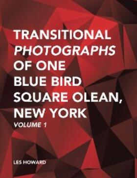 Howard |  Transitional Photographs of One Blue Bird Square Olean, New York | eBook | Sack Fachmedien