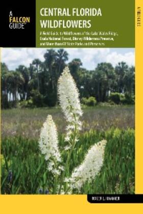 Hammer |  Central Florida Wildflowers | eBook | Sack Fachmedien