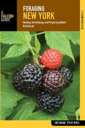 Brill |  Foraging New York | eBook | Sack Fachmedien