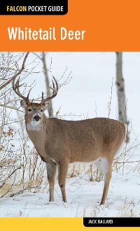 Ballard |  Whitetail Deer | eBook | Sack Fachmedien