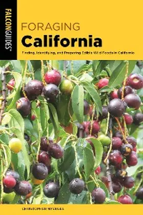 Nyerges |  Foraging California | eBook | Sack Fachmedien