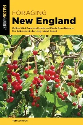 Seymour |  Foraging New England | eBook | Sack Fachmedien