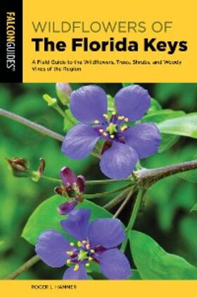 Hammer |  Wildflowers of the Florida Keys | eBook | Sack Fachmedien
