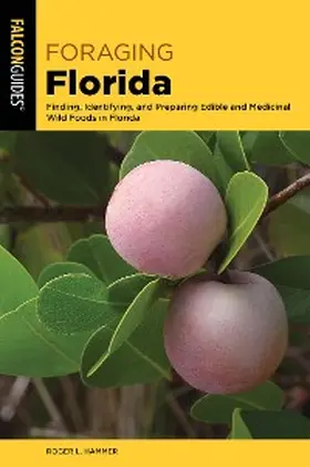 Hammer |  Foraging Florida | eBook | Sack Fachmedien