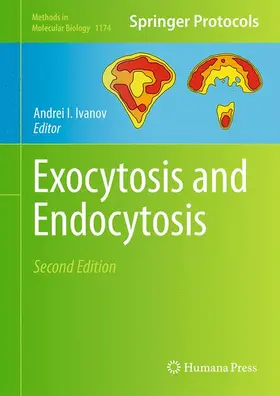 Ivanov | Exocytosis and Endocytosis | Buch | 978-1-4939-0943-8 | www2.sack.de