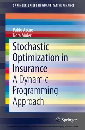 Azcue / Muler | Stochastic Optimization in Insurance | E-Book | sack.de