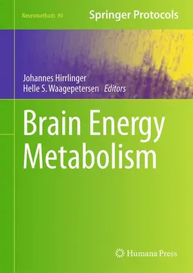 Waagepetersen / Hirrlinger | Brain Energy Metabolism | Buch | 978-1-4939-1058-8 | sack.de