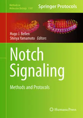 Bellen / Yamamoto |  Notch Signaling | eBook | Sack Fachmedien