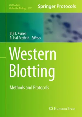 Scofield / Kurien |  Western Blotting | Buch |  Sack Fachmedien