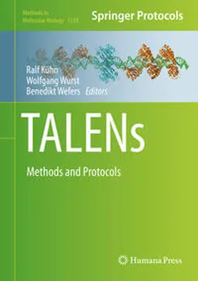 Kühn / Wurst / Wefers |  TALENs | eBook | Sack Fachmedien