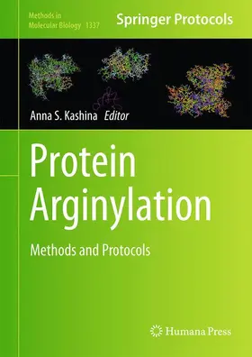 Kashina | Protein Arginylation | Buch | 978-1-4939-2934-4 | www2.sack.de