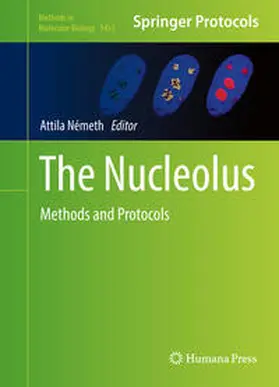 Németh |  The Nucleolus | eBook | Sack Fachmedien