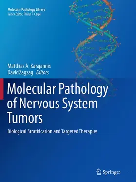 Karajannis / Zagzag |  Molecular Pathology of Nervous System Tumors | Buch |  Sack Fachmedien