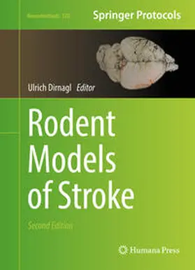 Dirnagl | Rodent Models of Stroke | E-Book | sack.de