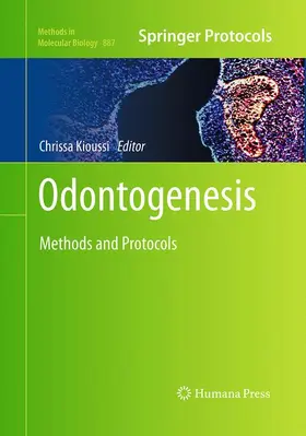 Kioussi |  Odontogenesis | Buch |  Sack Fachmedien