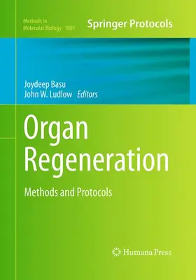 Ludlow / basu |  Organ Regeneration | Buch |  Sack Fachmedien