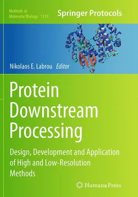 Labrou |  Protein Downstream Processing | Buch |  Sack Fachmedien