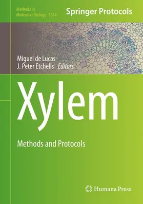de Lucas / Etchhells | Xylem | Buch | 978-1-4939-6720-9 | www2.sack.de