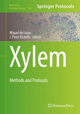 de Lucas / Etchhells |  Xylem | eBook | Sack Fachmedien