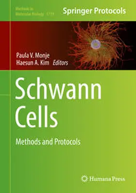 Monje / Kim |  Schwann Cells | eBook | Sack Fachmedien