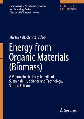 Kaltschmitt |  Energy from Organic Materials (Biomass) | Buch |  Sack Fachmedien