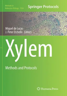 de Lucas / Etchhells |  Xylem | Buch |  Sack Fachmedien
